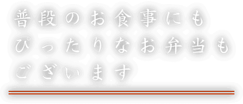 普段のお食事にも