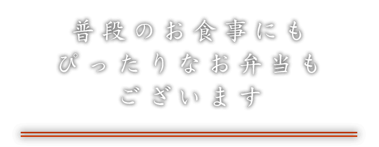 普段のお食事にも